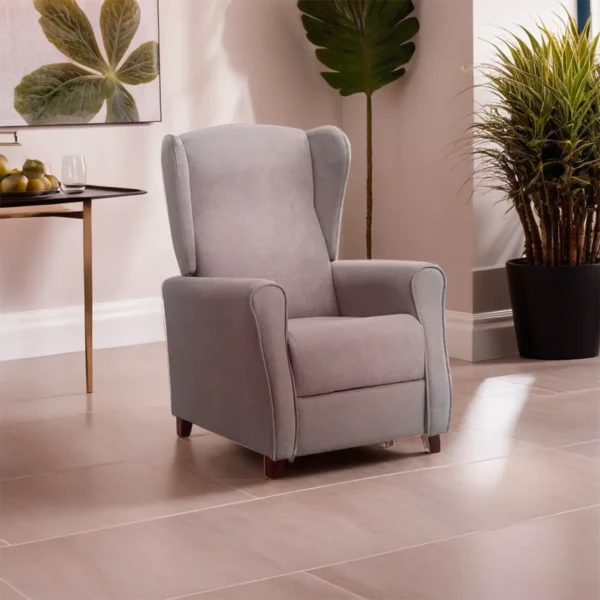 Relax Orejero Gris Salon 1